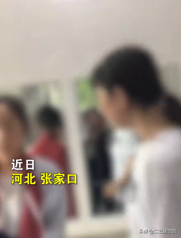 河北3女孩廁所內(nèi)多次掌摑圍毆一女生，官方：已對(duì)打人者治安行政處罰