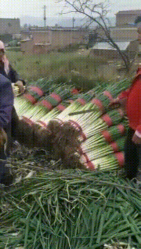 “妹子睡覺把腳伸我這，要給她點教訓嗎？”哈哈哈撓她的腳心才對