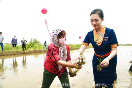 身著靚麗制服的青航空姐空少下地插秧，你怎么看？