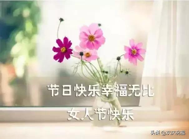 女人節(jié)！問候！送給天下所有的女人