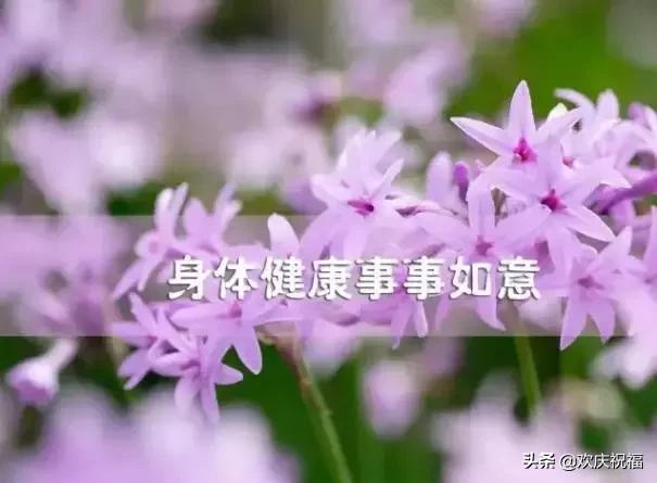女人節(jié)！問候！送給天下所有的女人