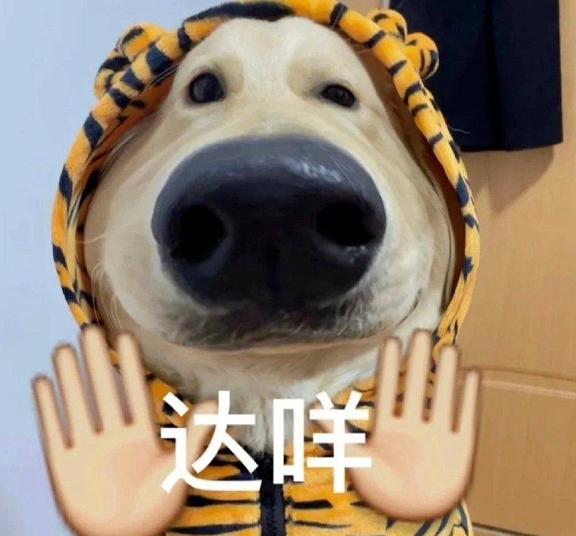 韓國女星因穿著“不雅”被趕下飛機(jī)，被迫當(dāng)眾脫褲