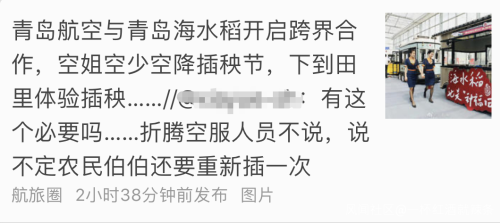 身著靚麗制服的青航空姐空少下地插秧，你怎么看？