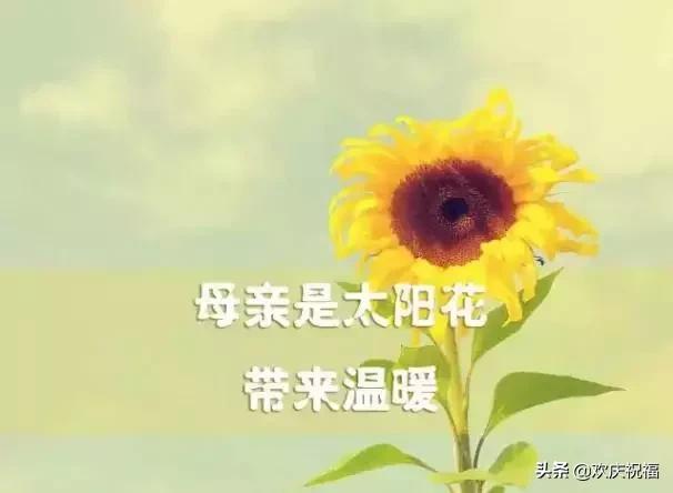 女人節(jié)！問候！送給天下所有的女人