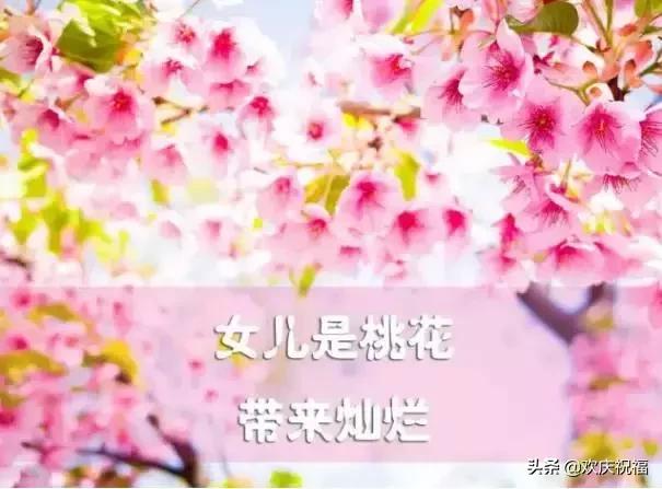 女人節(jié)！問候！送給天下所有的女人