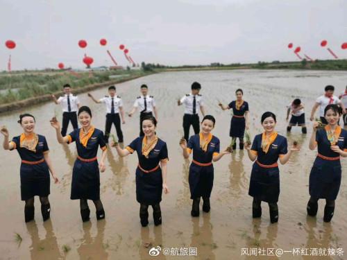 身著靚麗制服的青航空姐空少下地插秧，你怎么看？