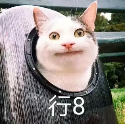 韓國女星因穿著“不雅”被趕下飛機(jī)，被迫當(dāng)眾脫褲