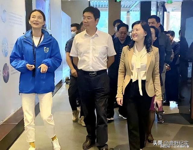 “美女廳官”段穎：搞權(quán)色交易，35歲官至副廳級(jí)，被查后拒不認(rèn)罪