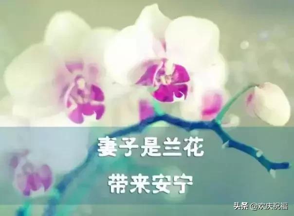女人節(jié)！問候！送給天下所有的女人