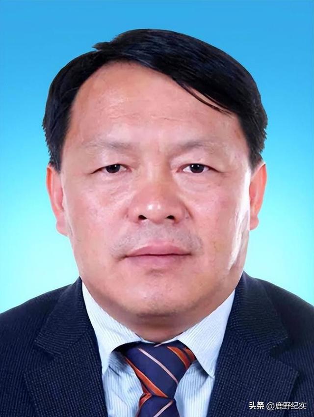 “美女廳官”段穎：搞權(quán)色交易，35歲官至副廳級(jí)，被查后拒不認(rèn)罪
