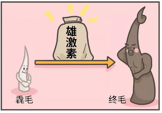 女生為什么也有那么多體毛啊？