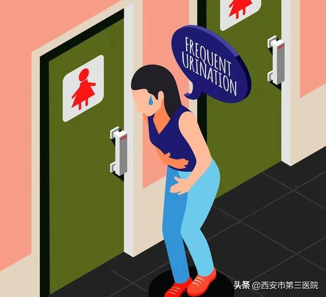 女性健康｜為何女性也會尿頻？