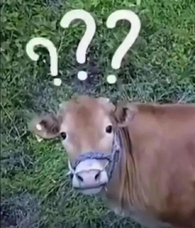 韓國女星因穿著“不雅”被趕下飛機(jī)，被迫當(dāng)眾脫褲