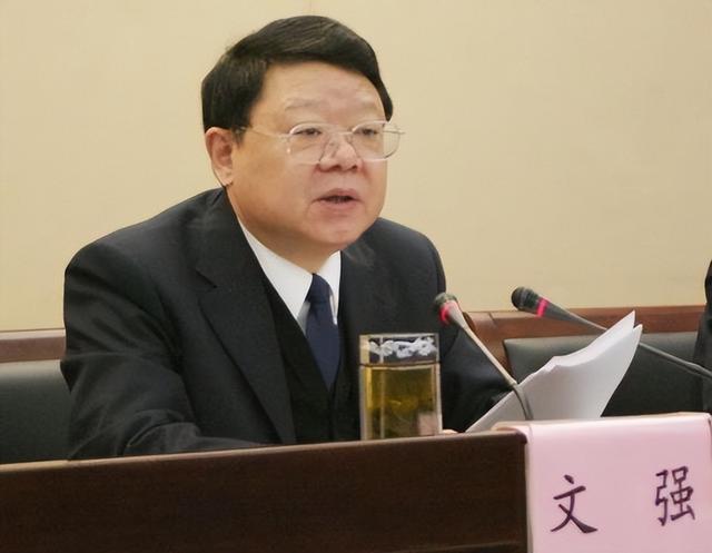 “打黑局長(zhǎng)”文強(qiáng)：霸占警花，玩弄女星，被捕時(shí)家中發(fā)現(xiàn)2000萬(wàn)