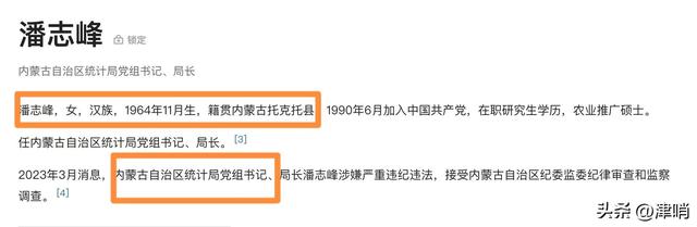 內(nèi)蒙正廳級(jí)“美女局長(zhǎng)”被查，超“完美”履歷，信息量有些大