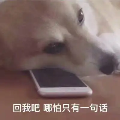 你知道哪些好聽的英文名