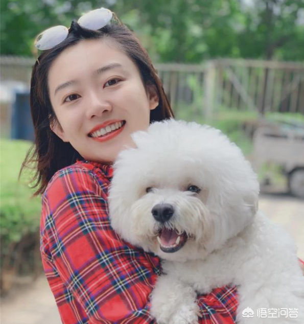 央視美女主持人大盤點
