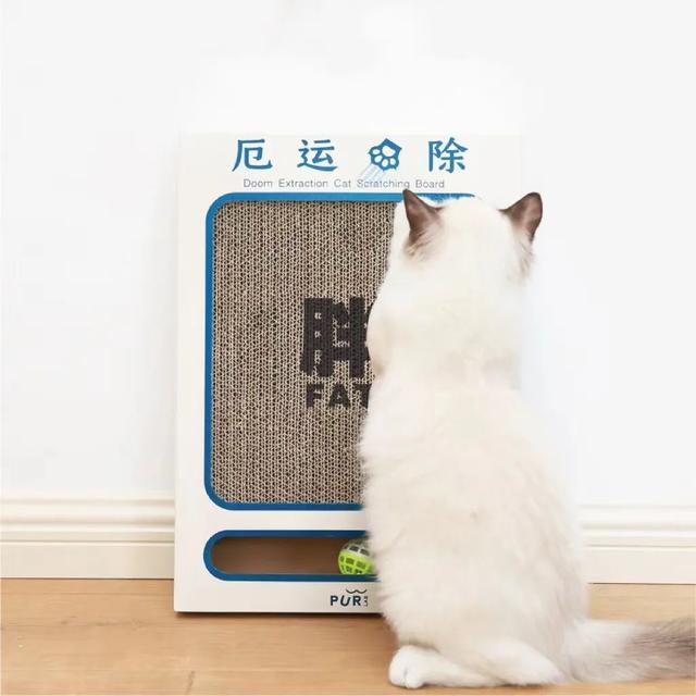 實不相瞞，我們這些養(yǎng)寵人士很想收到這樣的禮物！