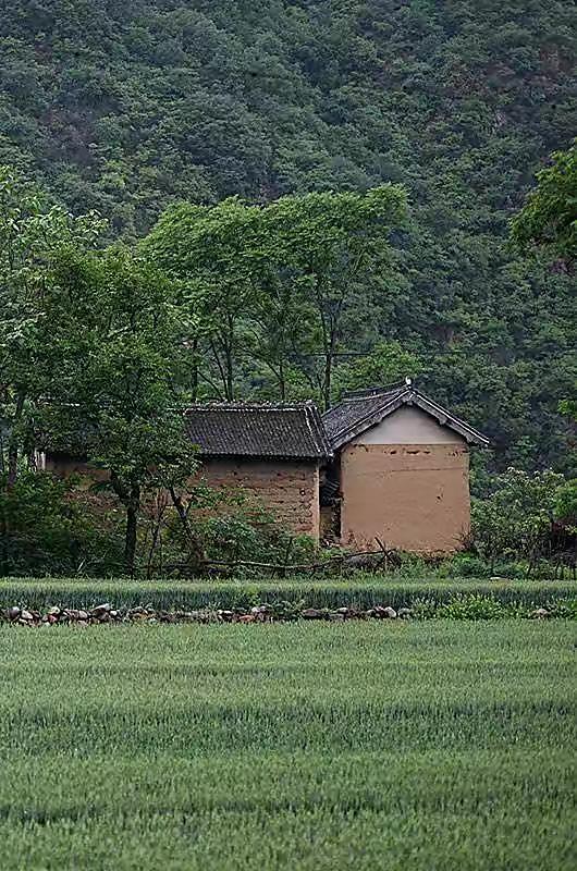 26歲云南農(nóng)村美女，父母離婚后她當過保姆，靠維修機電漲粉800萬