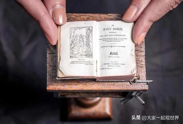 45張真實(shí)照片：日本貌美如花的黑幫女老大，完整的人類神經(jīng)系統(tǒng)