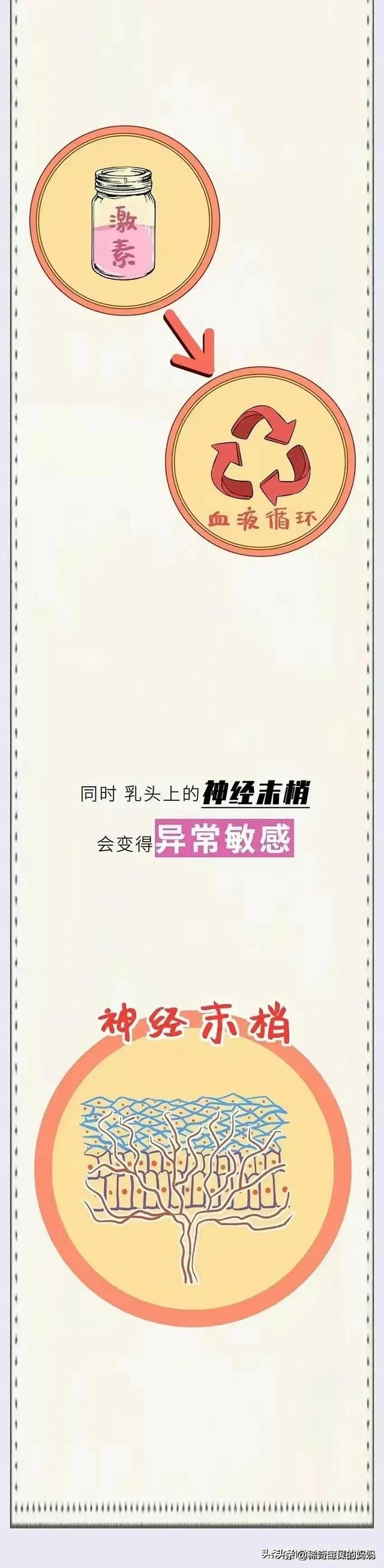 第一次性生活后，女生的身體會(huì)發(fā)生哪些變化？（漫畫）