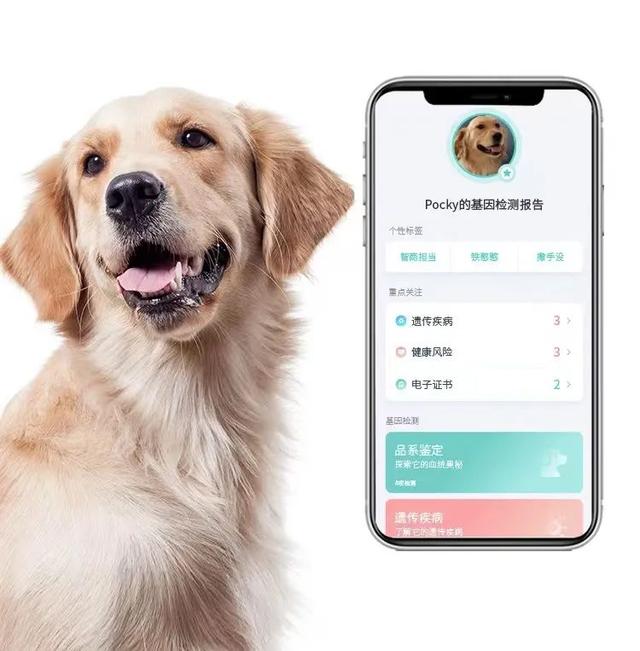 實不相瞞，我們這些養(yǎng)寵人士很想收到這樣的禮物！