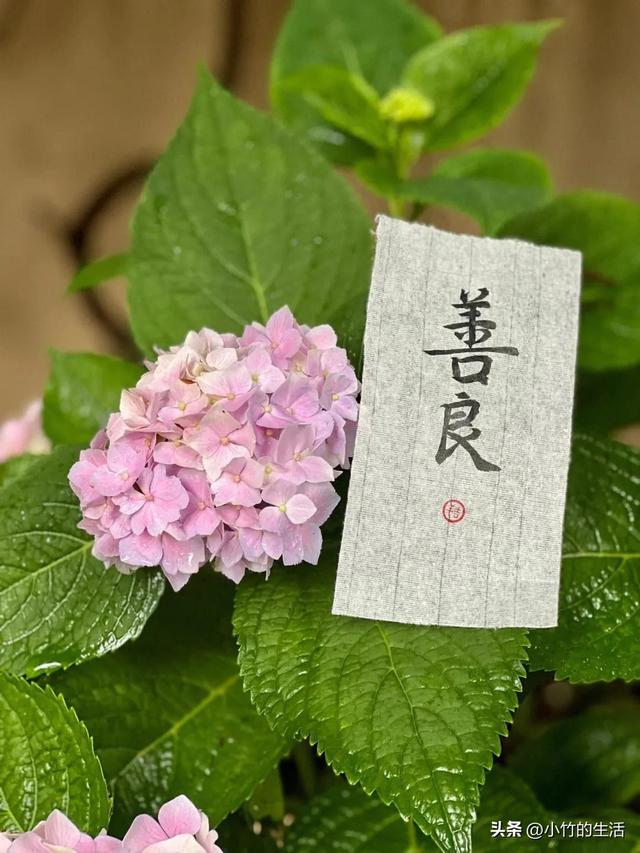 好女人5大標(biāo)準(zhǔn)，你的那位占了幾條呢？最后一條很少有人能做到