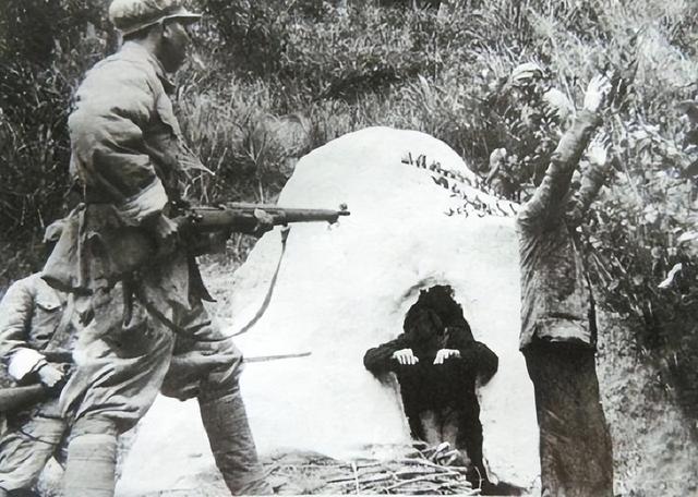 1953年貴州抓獲一美女土匪，被捕后無人敢處決，毛主席當(dāng)場釋放