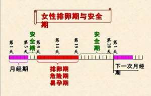 女人的安全期是什么時候(女性安全期是什么時候？)