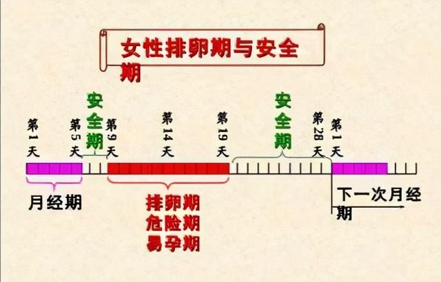 女性安全期是什么時候？