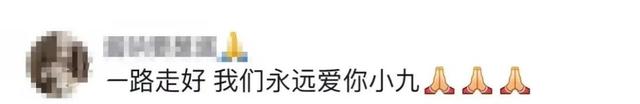 抗癌女孩“霍九九”，一路走好