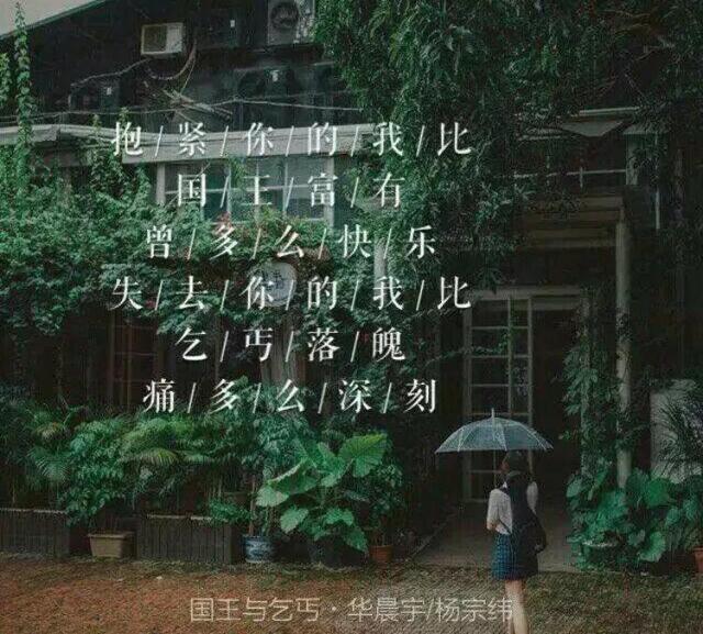 「音樂(lè)」是否有一首歌，唱進(jìn)了你的心？