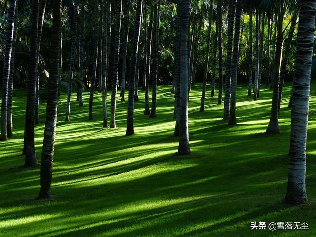 男女之間的“十大差異”：只有真正看明白的人，才能找到真愛(ài)