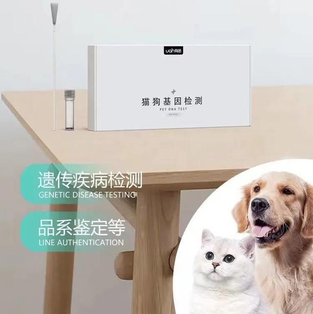實不相瞞，我們這些養(yǎng)寵人士很想收到這樣的禮物！