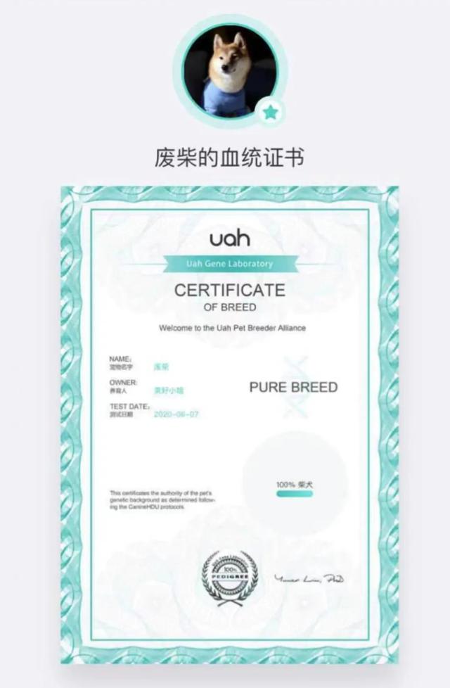實不相瞞，我們這些養(yǎng)寵人士很想收到這樣的禮物！