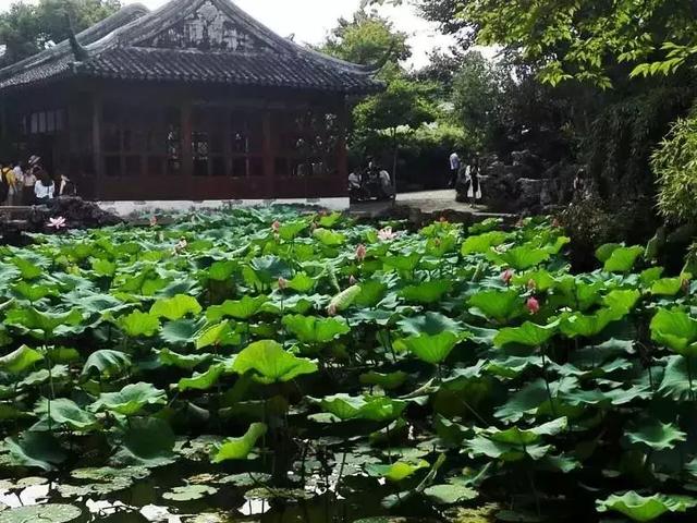 4大名妓，4大美女，4大才子，4大才女，太全了！漲知識了