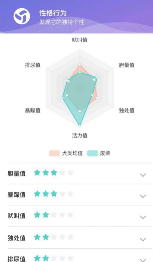 實不相瞞，我們這些養(yǎng)寵人士很想收到這樣的禮物！