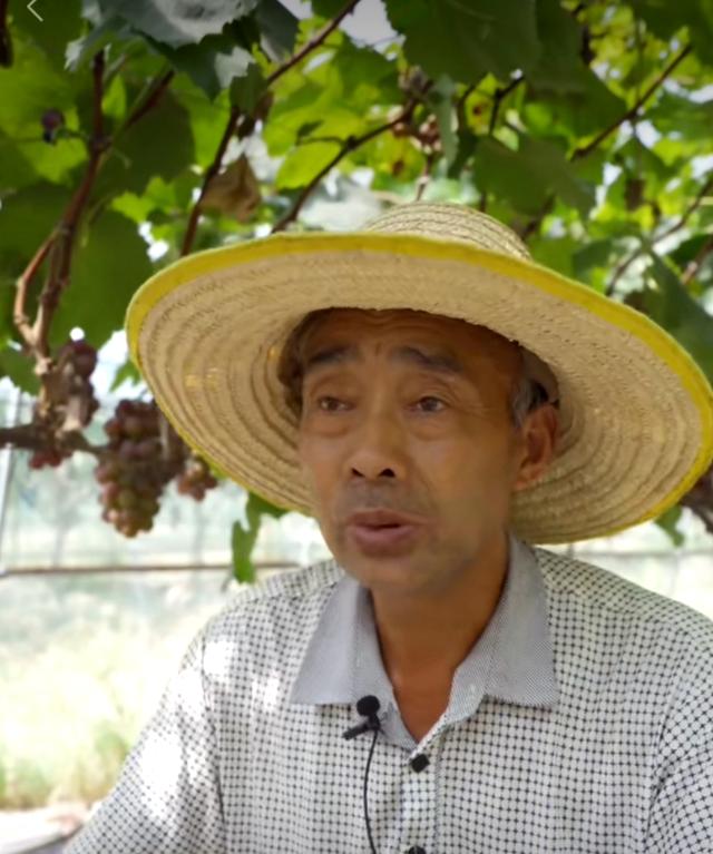 湖北一美女終圓教師夢，誰知肚子疼后悲劇發(fā)生，媽媽崩潰痛哭流涕