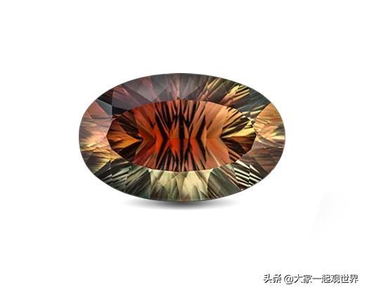 45張真實(shí)照片：日本貌美如花的黑幫女老大，完整的人類神經(jīng)系統(tǒng)