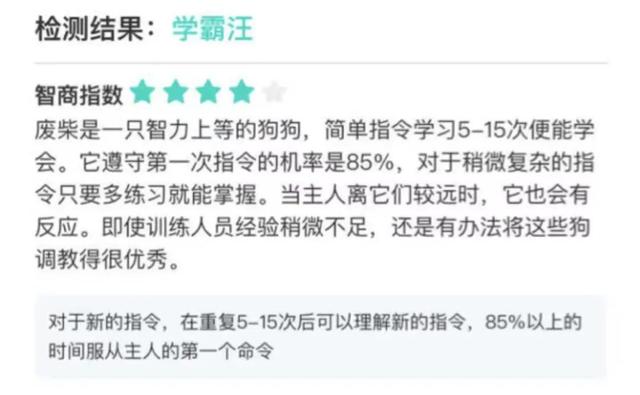 實不相瞞，我們這些養(yǎng)寵人士很想收到這樣的禮物！