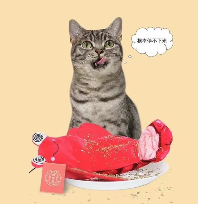 實不相瞞，我們這些養(yǎng)寵人士很想收到這樣的禮物！