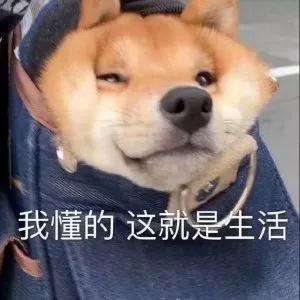 校閱女孩(《校閱女孩》再拍被嘲？這一次服化組出來背鍋)