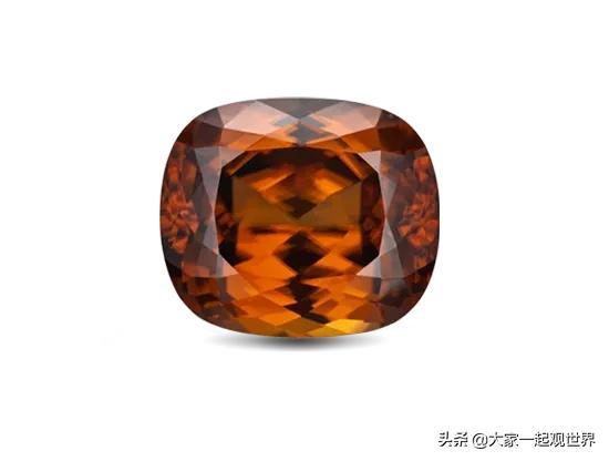 45張真實(shí)照片：日本貌美如花的黑幫女老大，完整的人類神經(jīng)系統(tǒng)