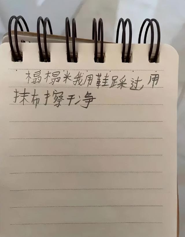 14歲女孩跳樓，1500字遺書曝光：“若有來生，別來煩我”