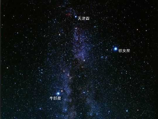 北極星并非指某顆恒星，織女星未來會成為北極星，但它是身不由己