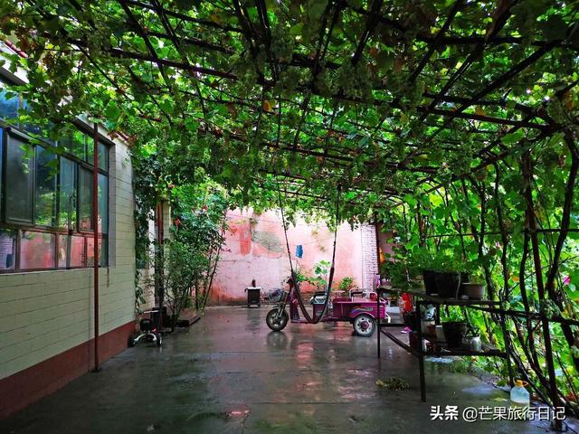 新疆旅游，到回族美女家做客，眼界大開，簡直是女人夢想的天堂