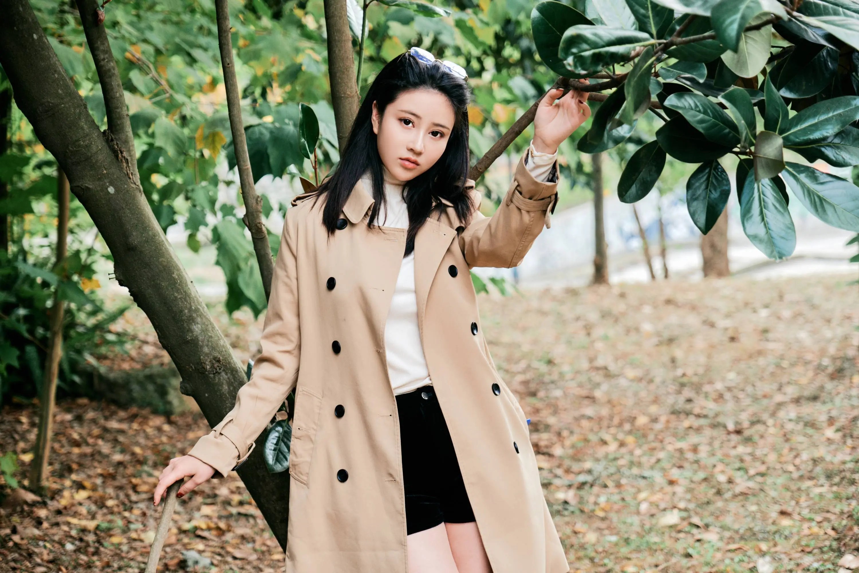 小樹林里風(fēng)景好