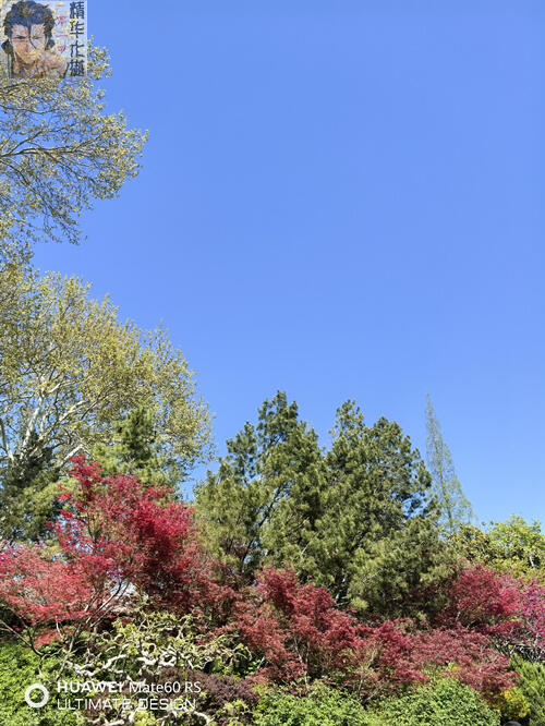 踏青出行，景靚腿美，沾衣欲濕，分享幾張嬌妻絲足照