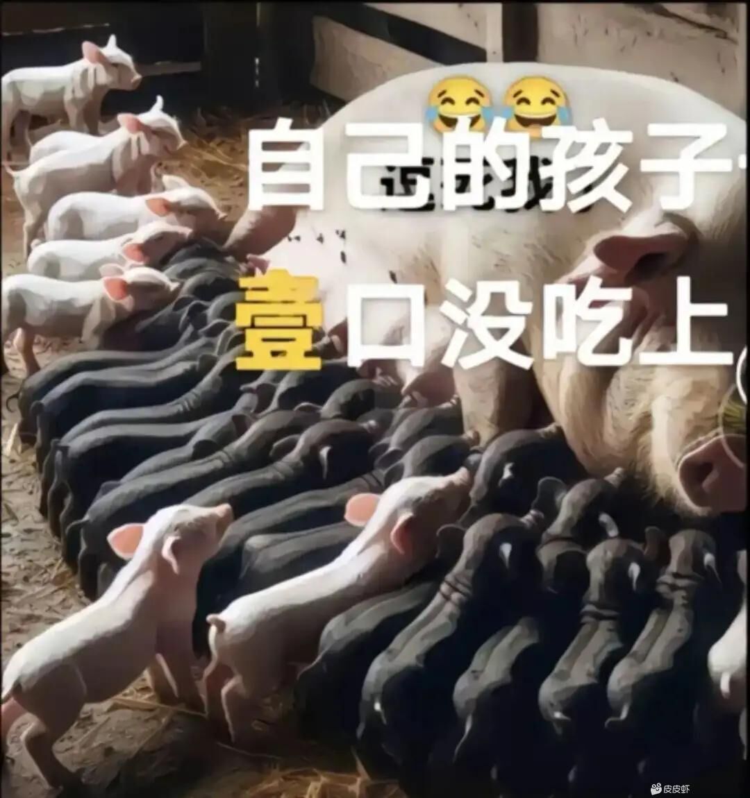 天氣晴的反差嬌妻情趣內(nèi)衣真空無內(nèi)外出日常